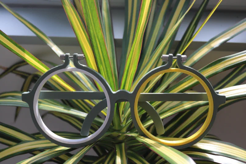 Palm plant wearing funny glasses shaped 3D printed embroidery hoops.